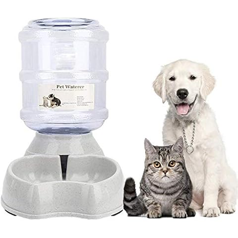 Old Tjikko thumbnail