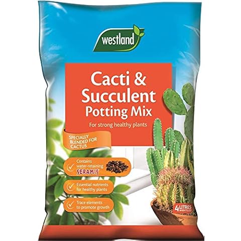 Online Garden Centre feature image