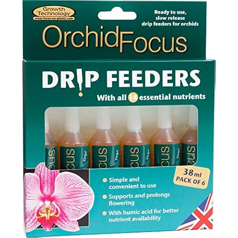 Orchid Focus feature image