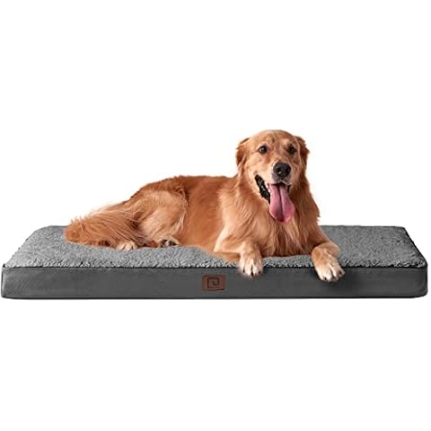 Orthopedic Dog Beds