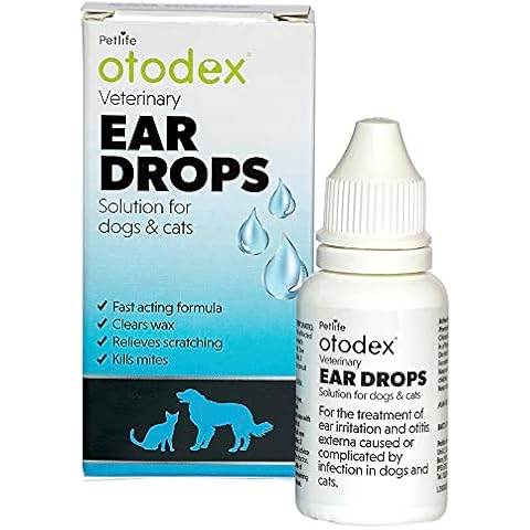Otodex feature image