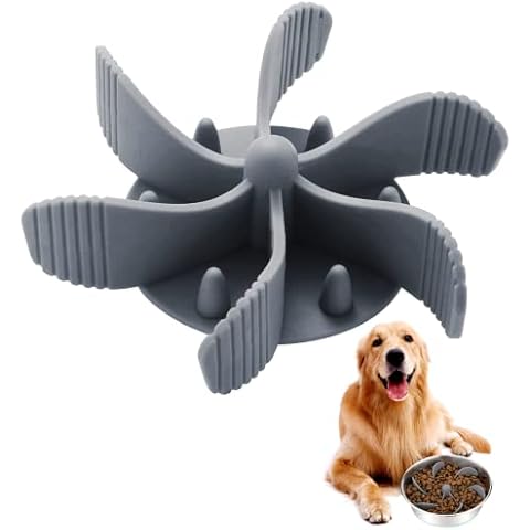 Oudizz feature image