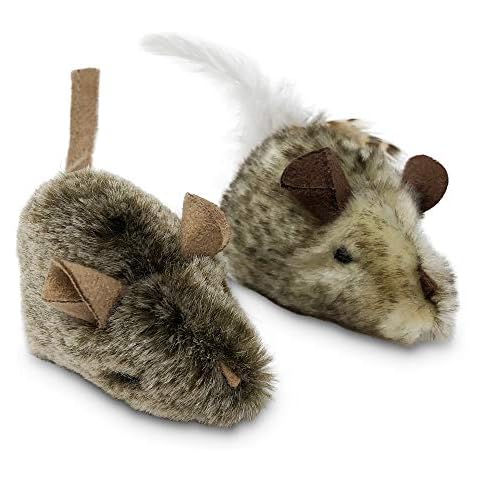 Our Pets feature image