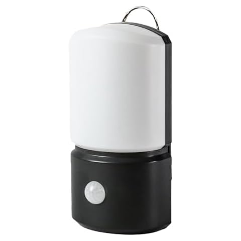Outdoor Wall Lights with Outlet