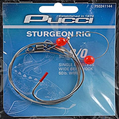 Top 10 Best Sturgeon Fishing Bait Rigs in 2023 - FindThisBest (UK)