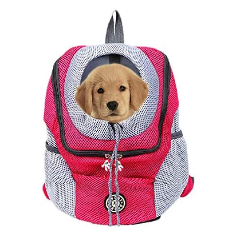 PAPIEEED feature image