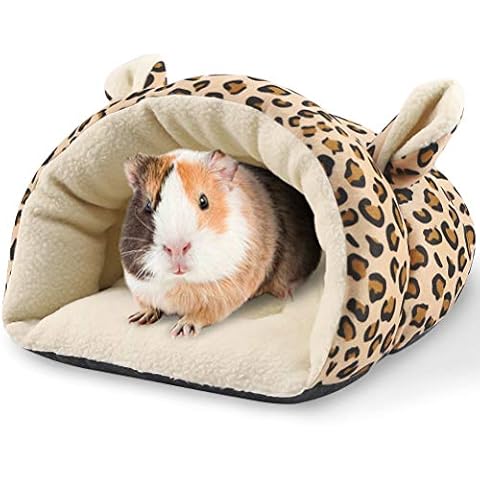 PAWCHIE feature image