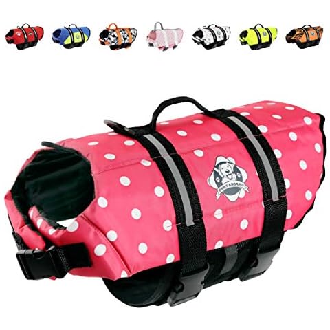 Paws Aboard thumbnail