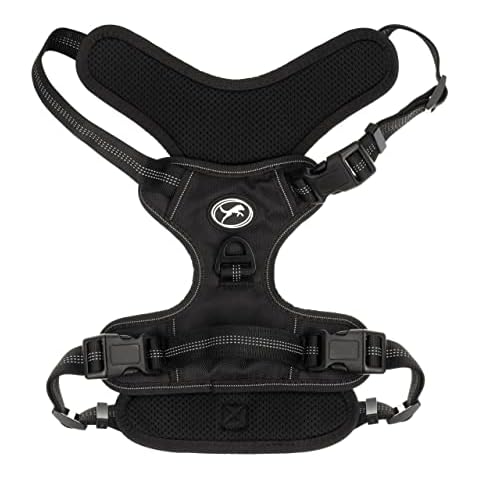 Paws For Thought thumbnail