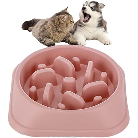 Pawsayes feature image