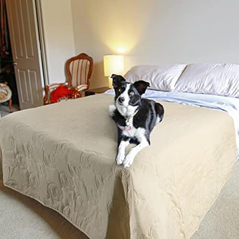 Pawsee thumbnail