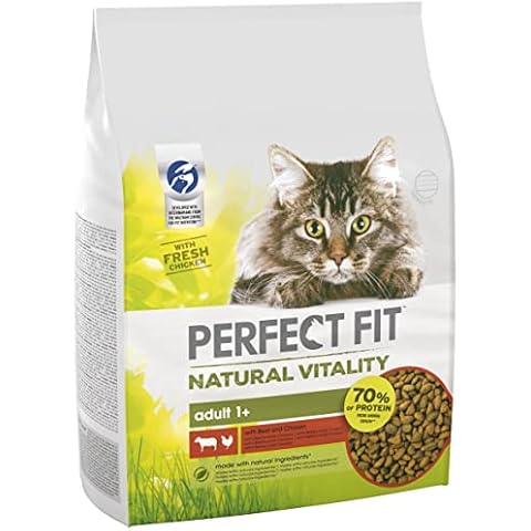 Perfect Fit Cat thumbnail