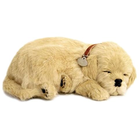 Perfect Petzzz feature image