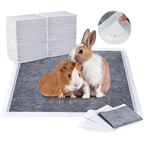 Pet Soft thumbnail