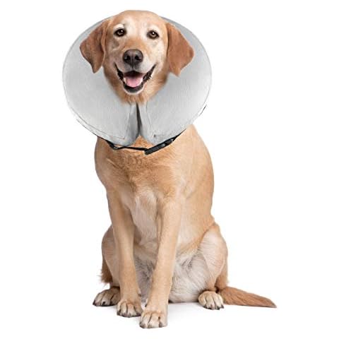 PET SPPTIES thumbnail