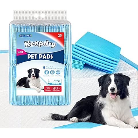 PET4PET feature image