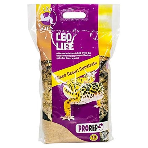 PETBLIS feature image