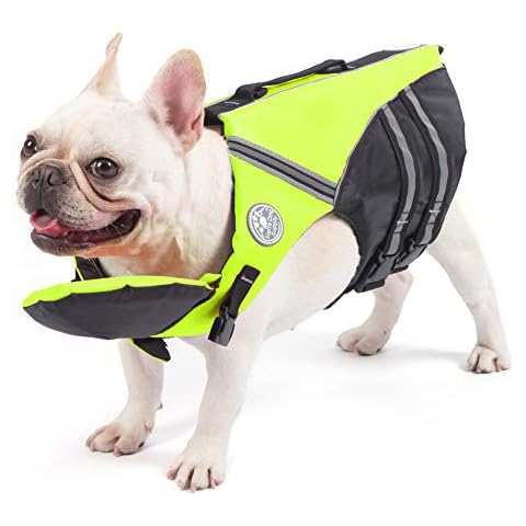 Petglad feature image