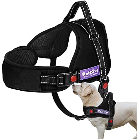 PETLOFT thumbnail