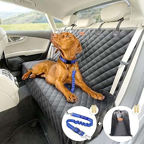 PETPROVED thumbnail