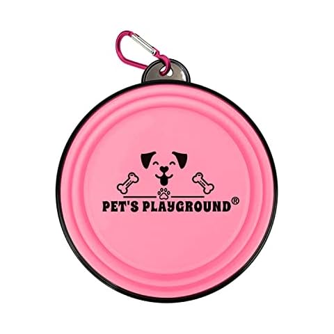 Pet's Playground feature image