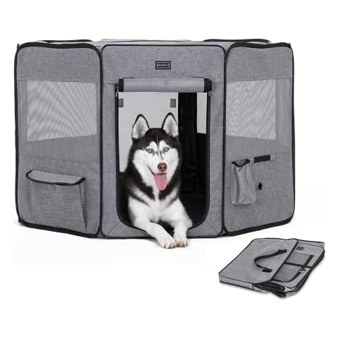 Petsfit thumbnail