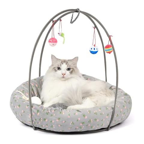 PETULANE feature image