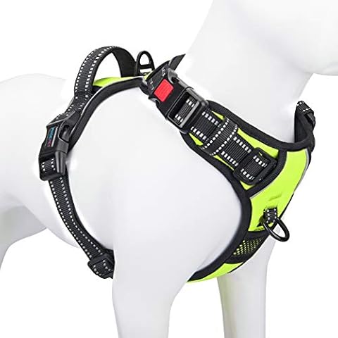 PHOEPET feature image