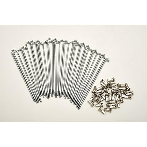 PIRINI MOTO feature image