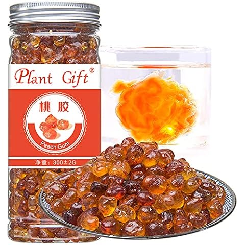 Plant Gift feature image