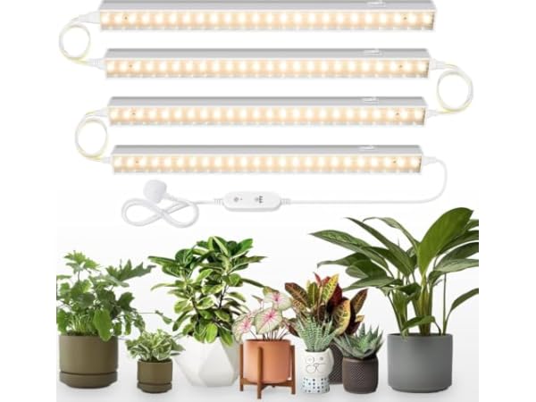 Plant Grow Lights Thumbnail