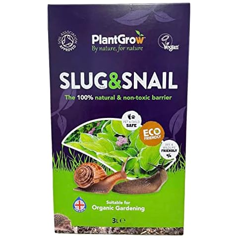 Plant Grow feature image