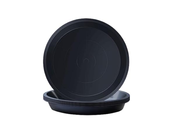 Plant Saucers Thumbnail