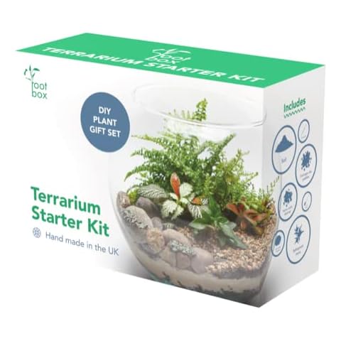 Planter Terrariums