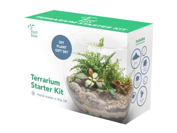 Planter Terrariums Thumbnail