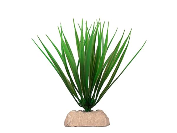 Plastic Plants for Aquariums Thumbnail