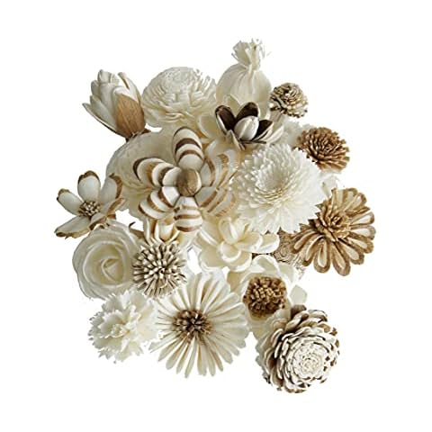 Plawanature Scent feature image