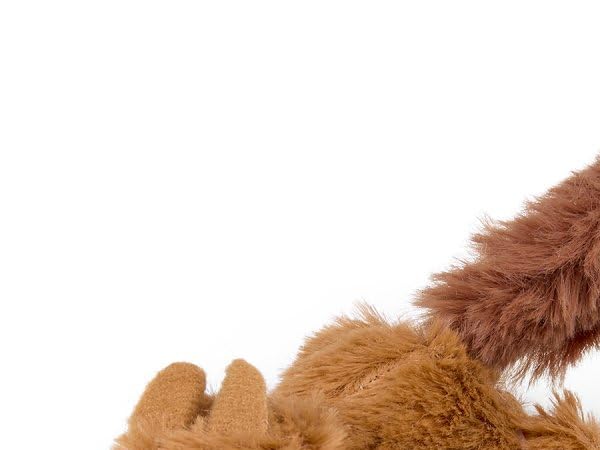 Plush Toys for Cats Thumbnail