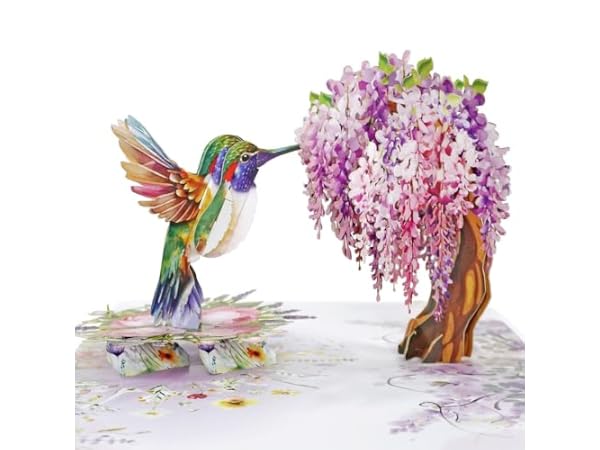 Top 10 Best Pop-Up Greeting Cards in 2026 - FindThisBest (UK)
