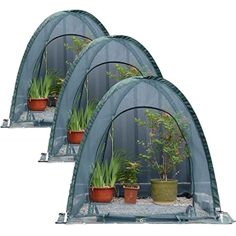 Porayhut feature image