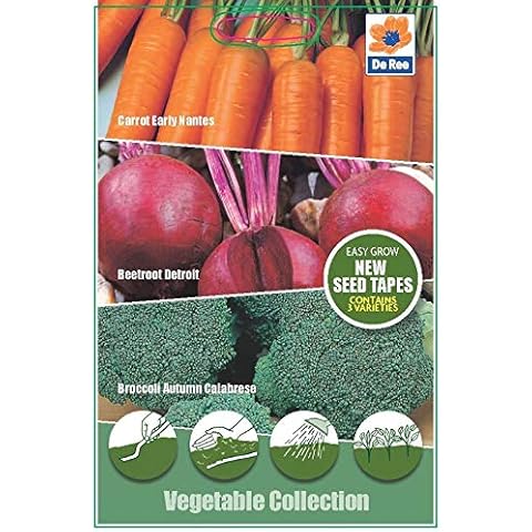 Portal Cool feature image