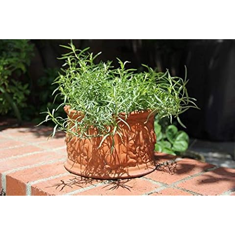 Potseed feature image