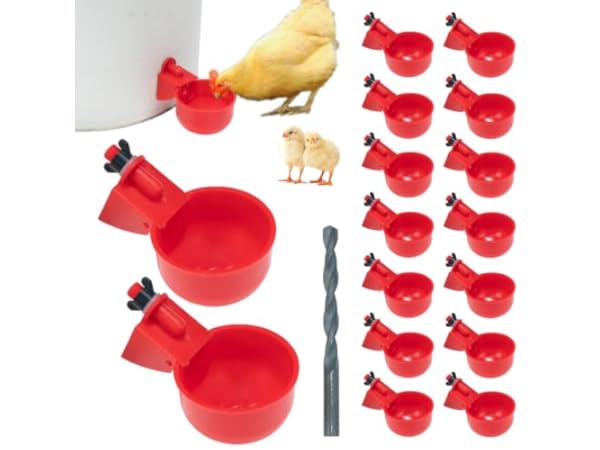 Poultry, Pigeon & Game Bird Fountains & Waterers Thumbnail