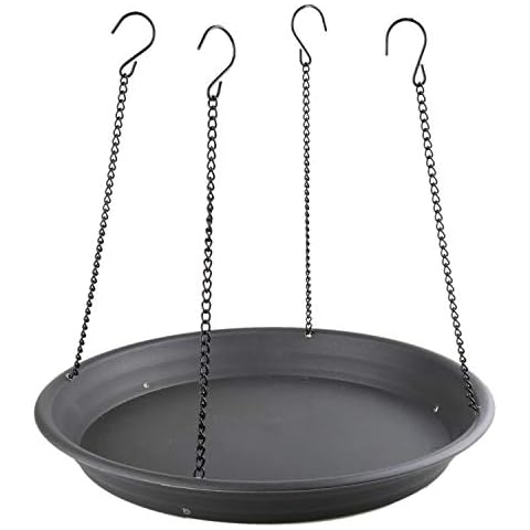 Pranovo feature image