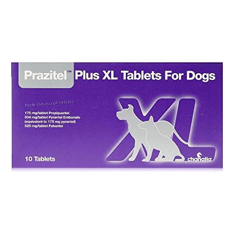 Prazitel feature image