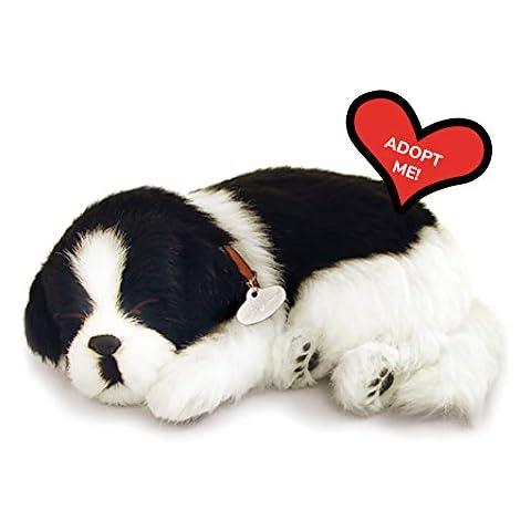 Precious Petzzz feature image