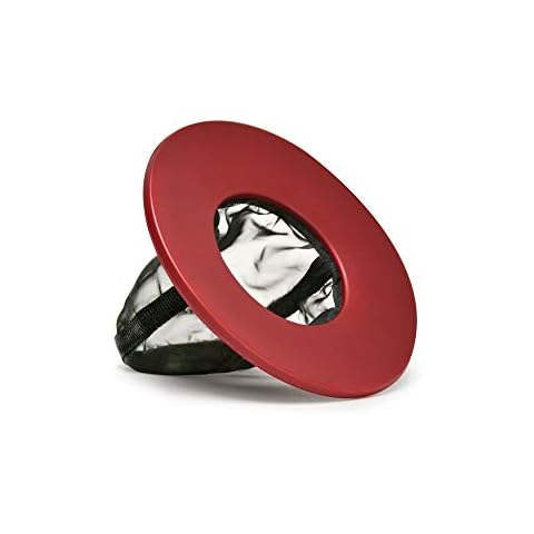 Primula feature image