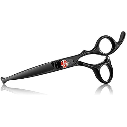 PURPLEBIRD feature image