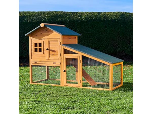 Rabbit Hutches Thumbnail
