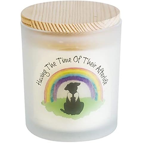 Rainbow Bridge Friends feature image